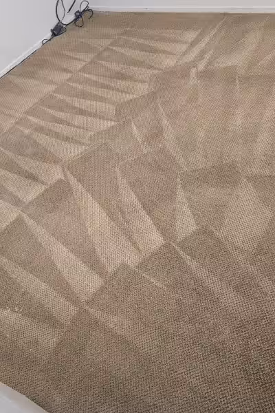 Saturn Carpet Care - Carpet Cleaning Saturn Carpet Care - Carpet Cleaning in frisco