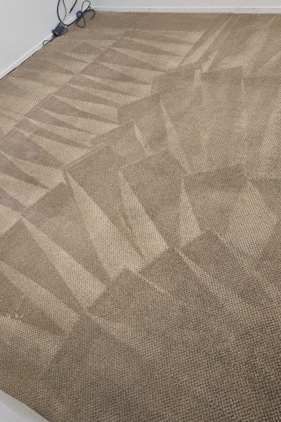 Saturn Carpet Care - Carpet Cleaning Saturn Carpet Care - Carpet Cleaning in frisco