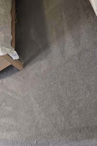 Saturn Carpet Care - Carpet Cleaning